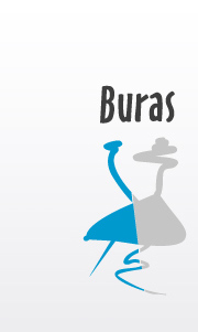 Deju grupa Buras